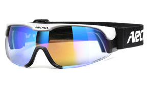 Arctica Polarized Ski Glasses S-219 with Temples exchangable for Elastic Strap 